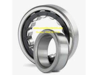 BẠC ĐẠN NJ 306 ECP